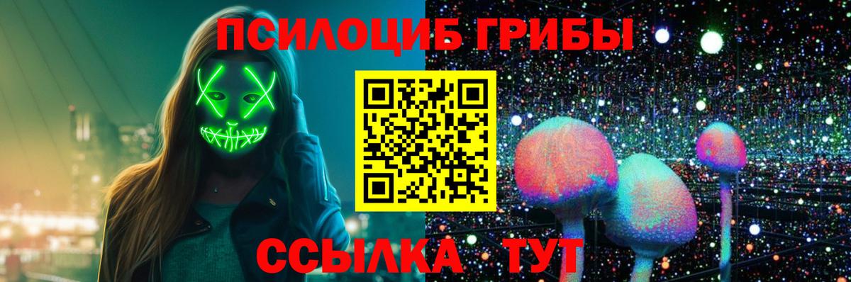 где продают наркотики  Вход с VPN  Шатура  Псилоцибиновые грибы мухоморы 